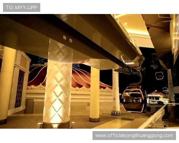 永利官方旗舰店官网多样化的产品类别，满足不同客户的个性化需求