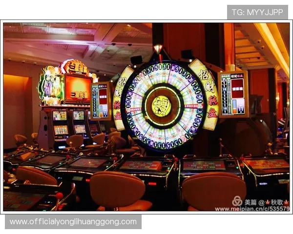 利澳娱乐场由哪家公司开设,用户关心的企业资质与合法性分析 利澳娱乐场由哪家公司开设,用户关心的企业资质与合法性分析